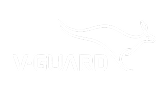 V-Guard