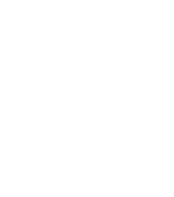 animation